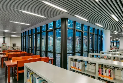 Casino Lion Wins Aplicación móvil